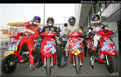 0206_macao_paddock2007_04.jpg