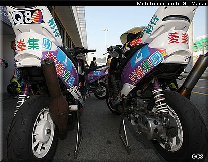 0209_macao_paddock2007_07.jpg