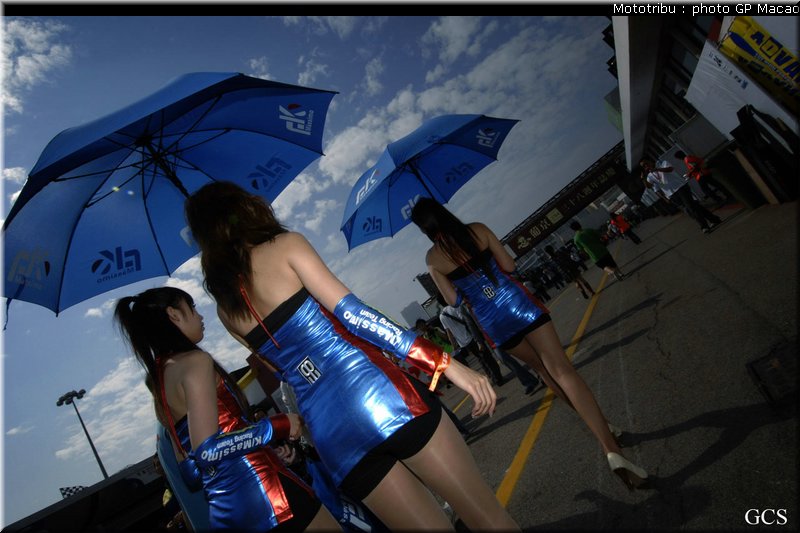 pitbabes_macao2008_012