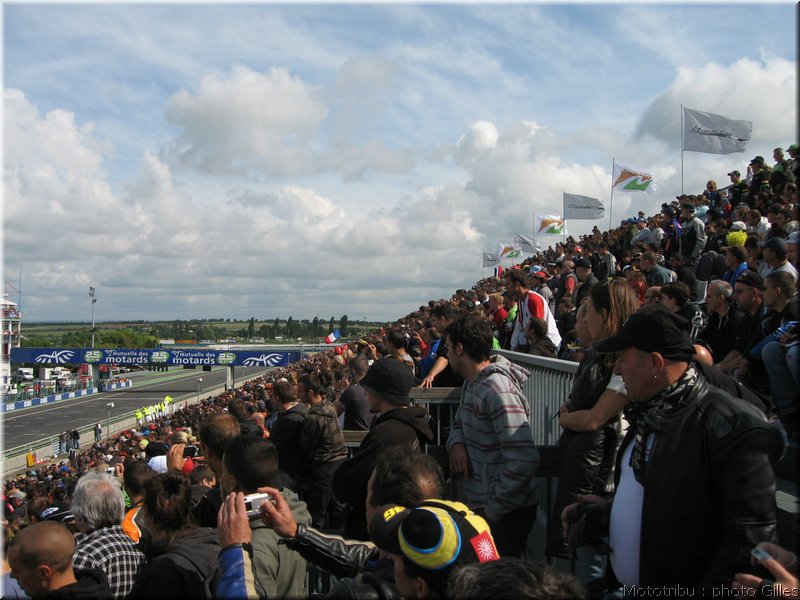 boldor_2008_062
