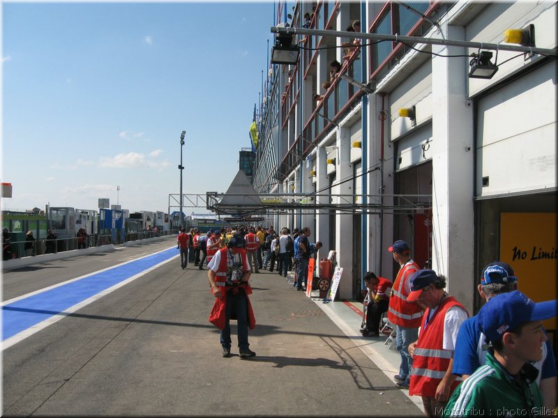 boldor_2008_114