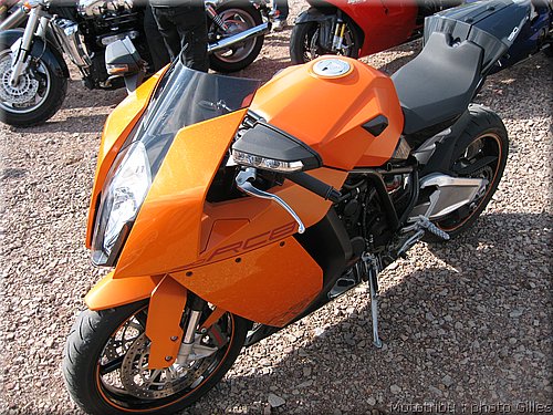 boldor_2008_040.JPG