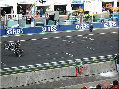 boldor_2008_060.JPG