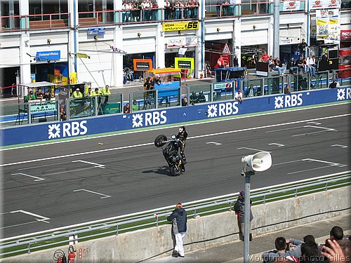 boldor_2008_061.JPG