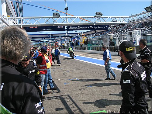 boldor_2008_094.JPG