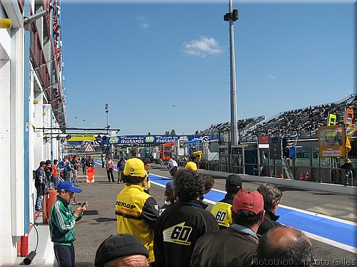 boldor_2008_103.JPG