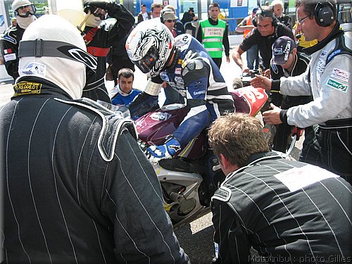 boldor_2008_105.JPG