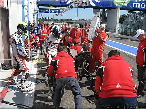 boldor_2008_120.JPG
