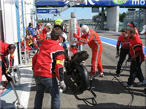 boldor_2008_122.JPG