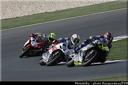 0033_endurance_course_doha2008_009.jpg