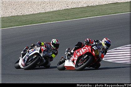 0044_endurance_course_doha2008_020.jpg