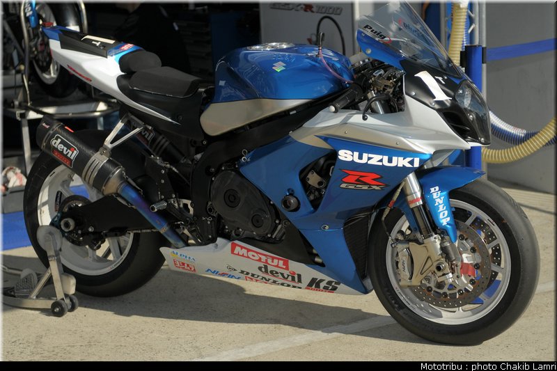 paddock_0031