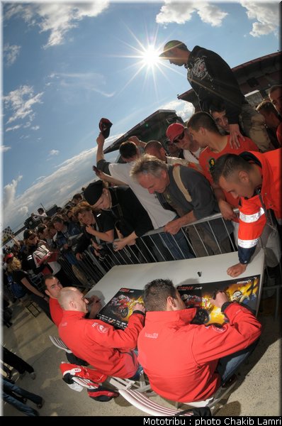 paddock_0035