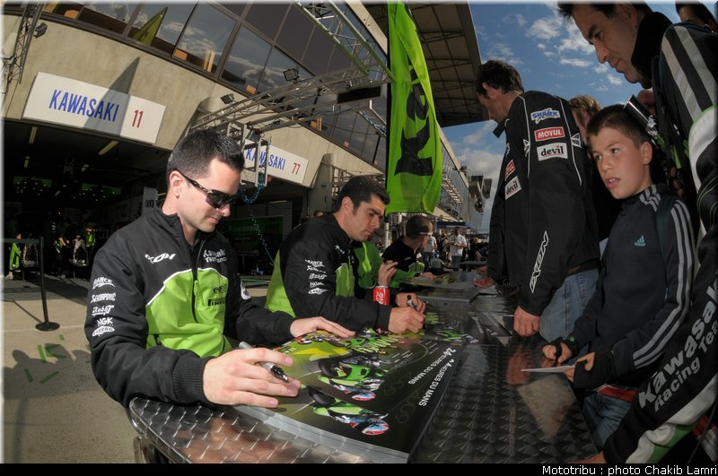 paddock_0037