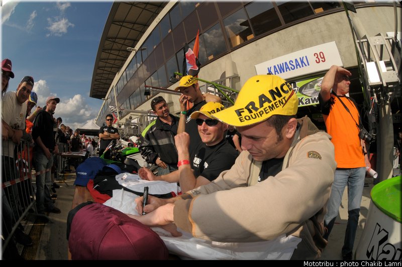 paddock_0042