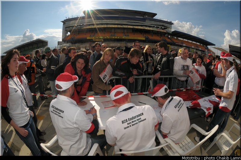paddock_0043