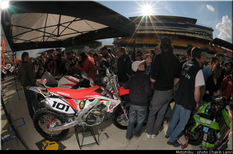 paddock_0048