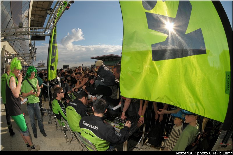 paddock_0053