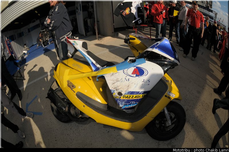 paddock_0059