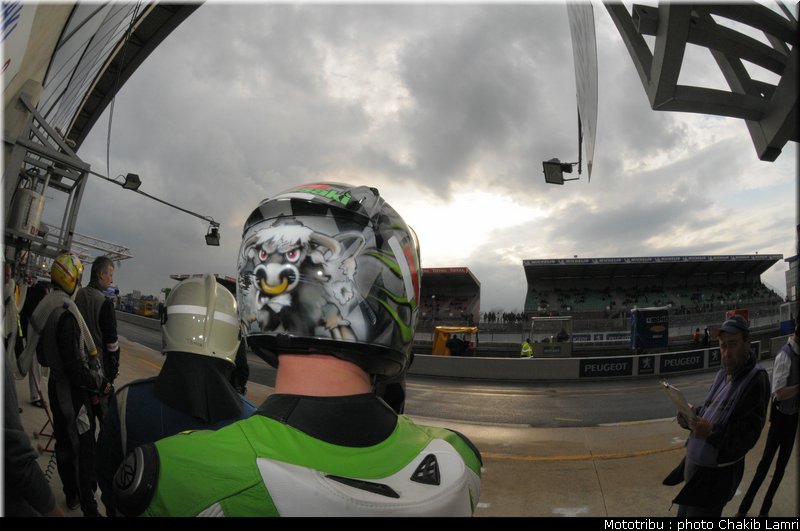 paddock_0064