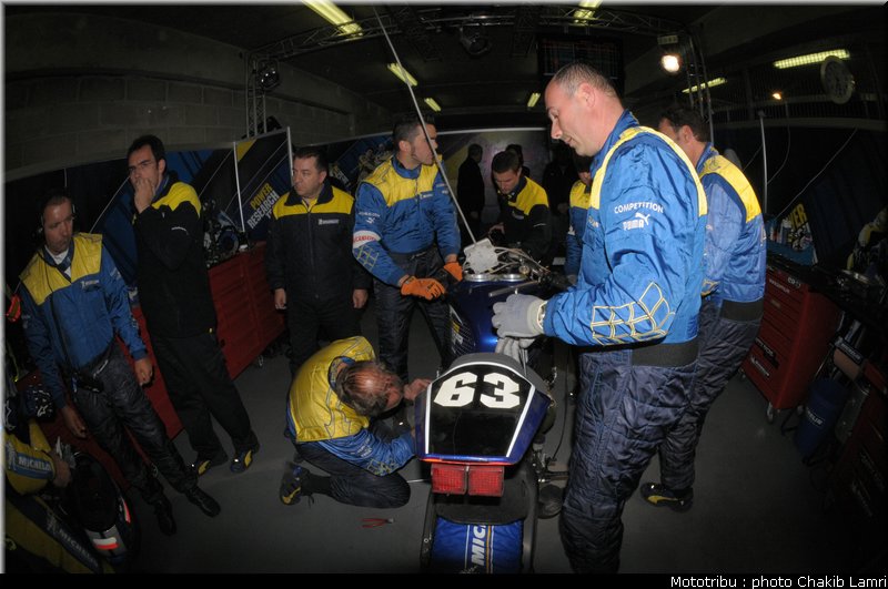 paddock_0067