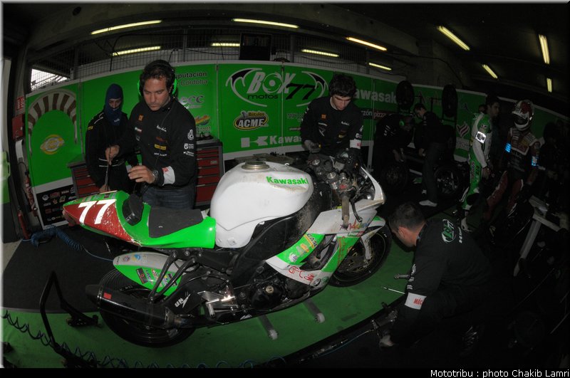 paddock_0068