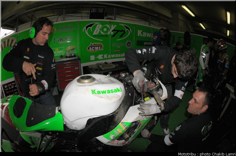 paddock_0069