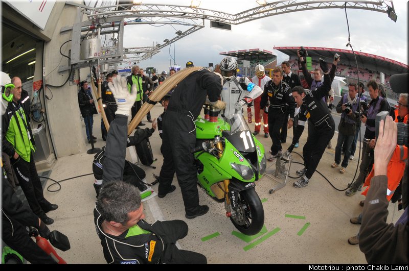 paddock_0070