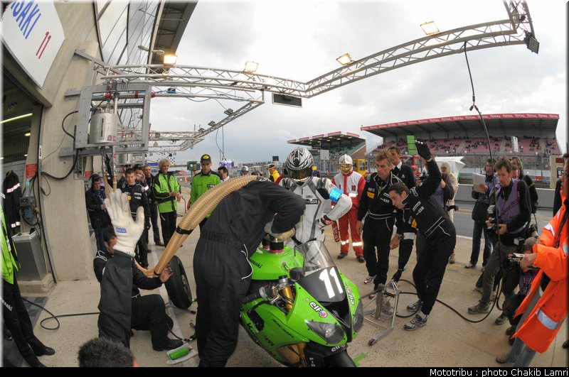 paddock_0071