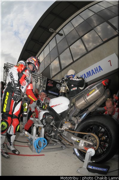 paddock_0076