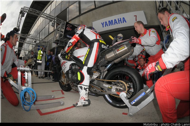 paddock_0077