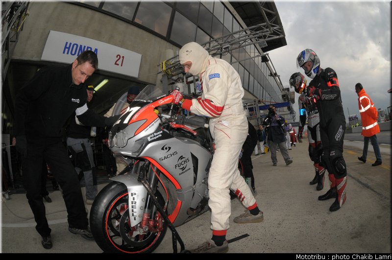 paddock_0079