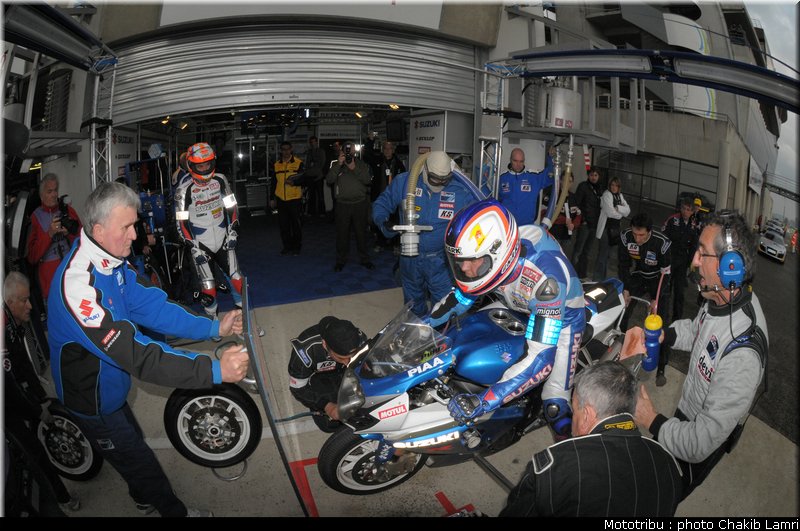paddock_0080