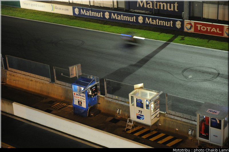 paddock_0099