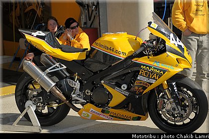 paddock_0028.jpg