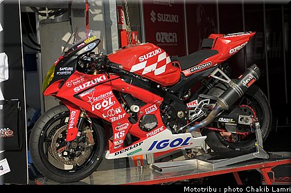 paddock_0030.jpg
