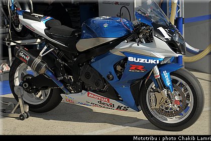 paddock_0031.jpg