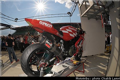 paddock_0034.jpg