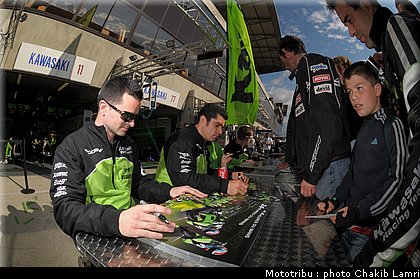 paddock_0037.jpg