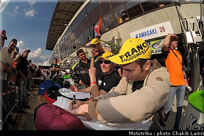 paddock_0042.jpg