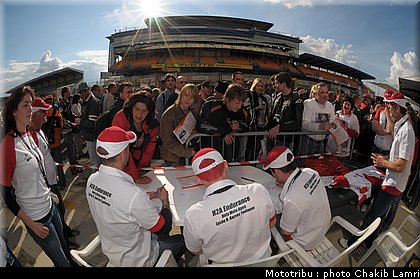 paddock_0043.jpg