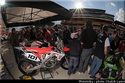 paddock_0048.jpg