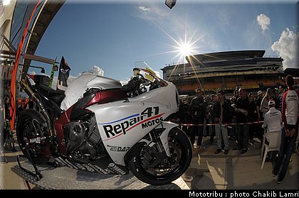 paddock_0049.jpg