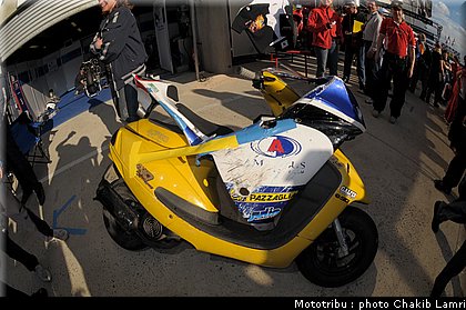 paddock_0059.jpg