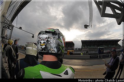 paddock_0064.jpg
