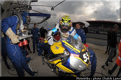 paddock_0065.jpg