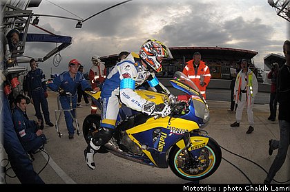 paddock_0066.jpg
