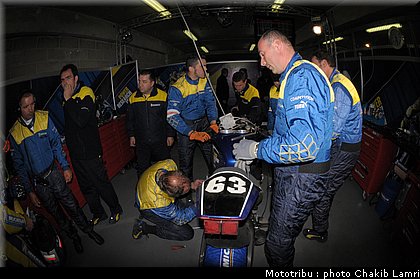 paddock_0067.jpg