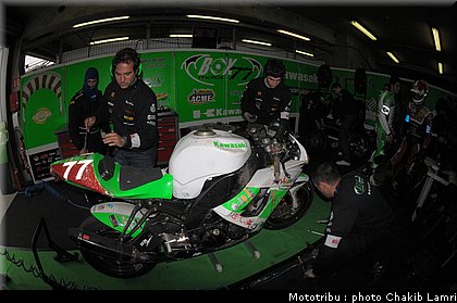 paddock_0068.jpg