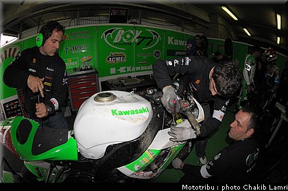 paddock_0069.jpg